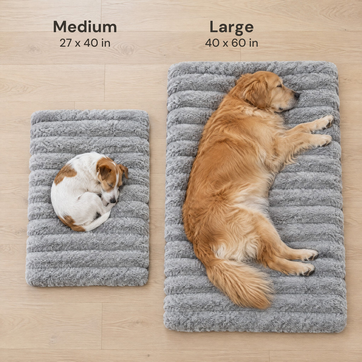 Size guide: Medium 27 x 40 in with a small dog, Large 40 x 60 in with a golden retriever