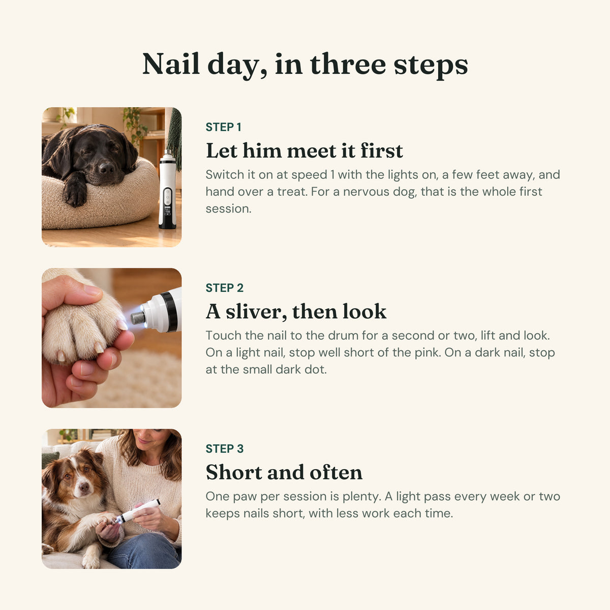 Nail day in three steps: let him meet it first, a sliver then look, short and often