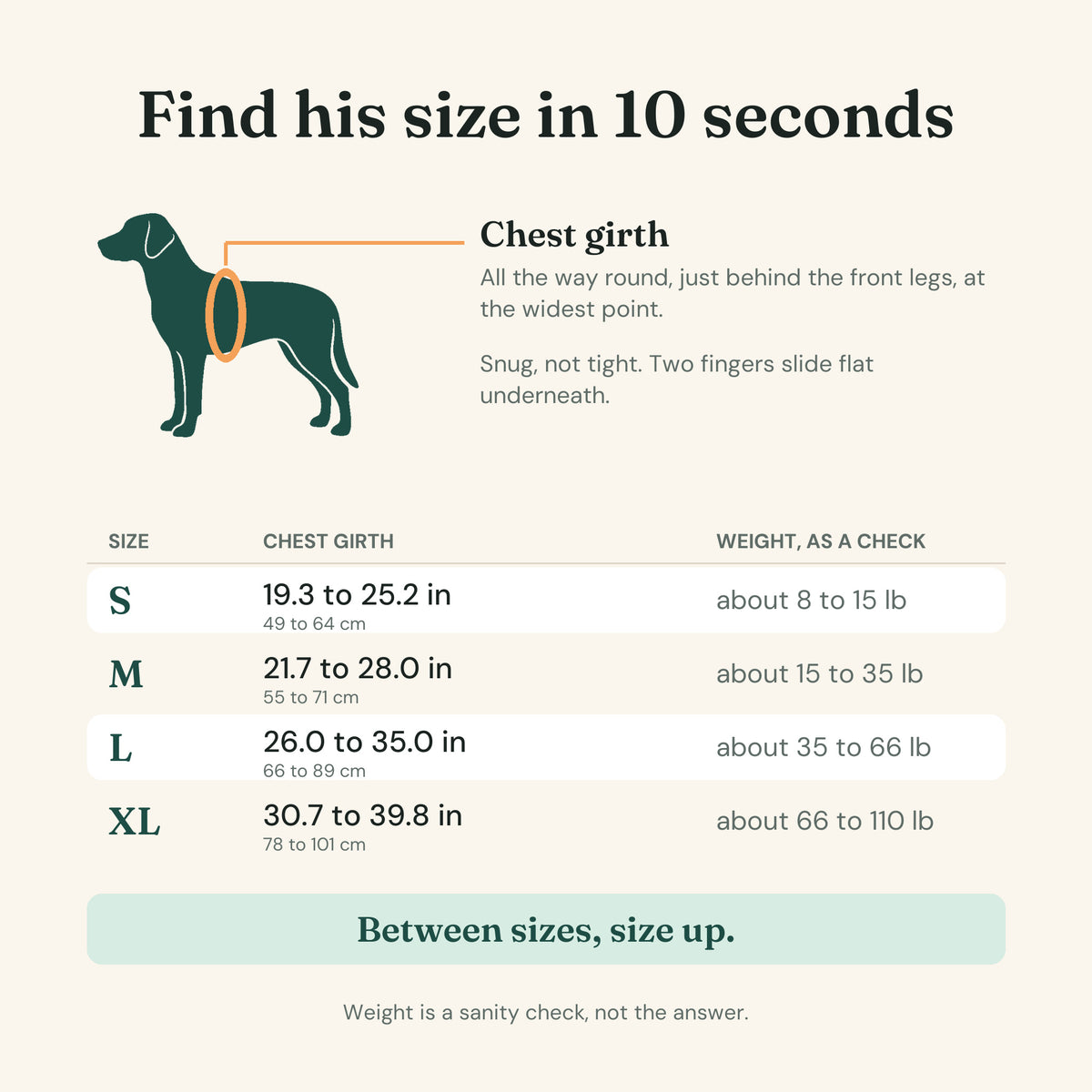 Diagram: where to run the tape for chest girth, the four sizes with their chest ranges in inches and centimetres, and the rule to size up between sizes.
